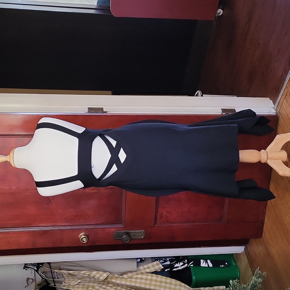 NWT Rachel Roy Dress - Picture 2 of 4
